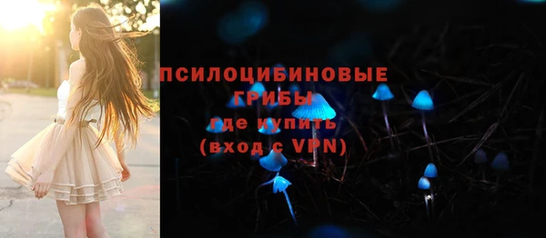 мяу мяу мука Арсеньев