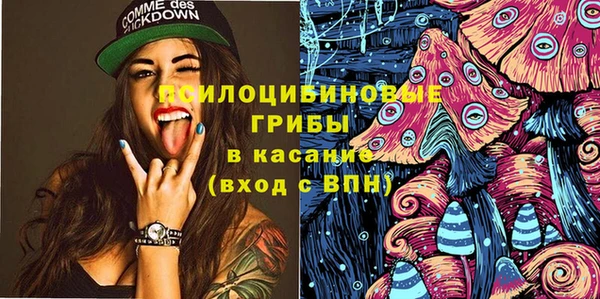 ГАЛЛЮЦИНОГЕННЫЕ ГРИБЫ Армянск